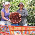 Doka Estate Costa Rica Coffee Tour and Plantation