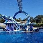 SeaWorld Orlando