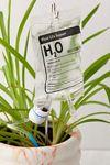 Plant Watering IV Bag