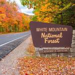 The Mount Washington Cog Railway