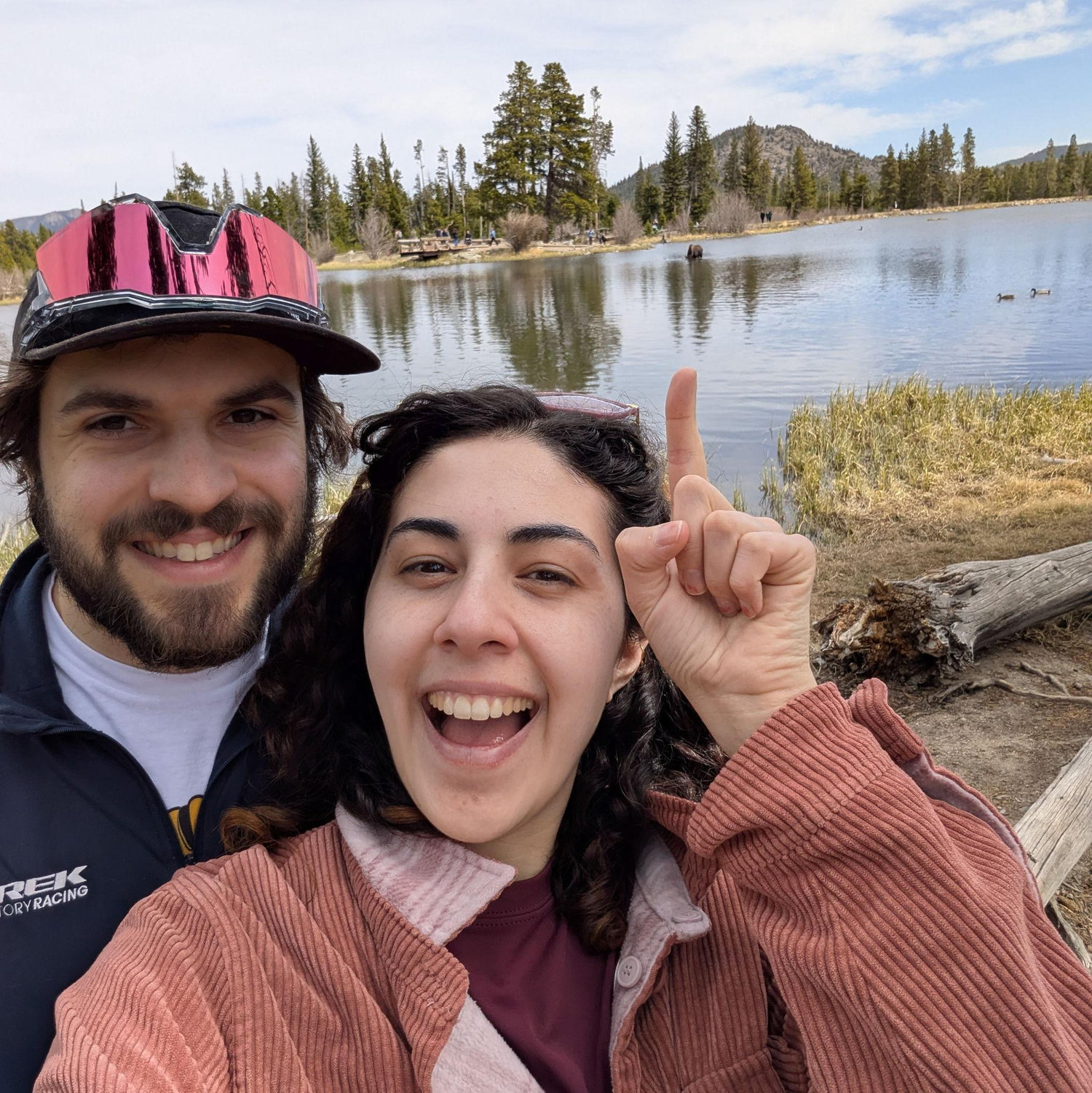 Spotting a moose in Rocky National Park