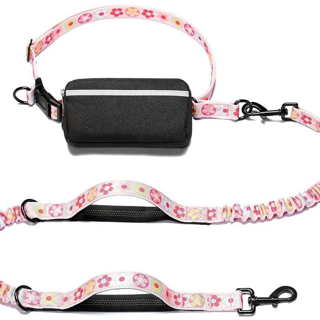 iYoShop Hands Free Dog Leash with Zipper Pouch, Dual Padded Handles and Durable Bungee for Walking, Jogging and Running Your Dog (Colorful Small Flower, Large)