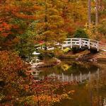 Duke Gardens
