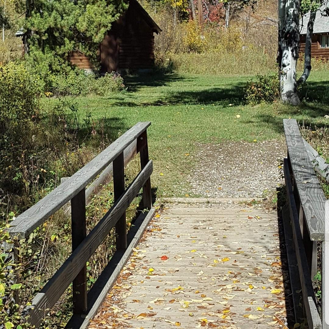 Bridge from small camp to the field.
 Also where I saw the cougar. :)