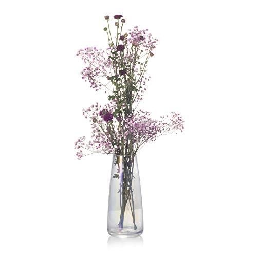 Ekirlin Vases,8.7inch Round Glass Table Vase for Home Decorations,Office Desktop Meeting Room Decoration, Party, Birthday Gift for Wife,Mother,Girl Friend (Clear)