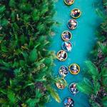 Hội An - Coconut Basket Boat Ride