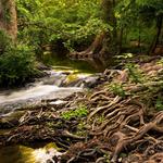 Cibolo Nature Center