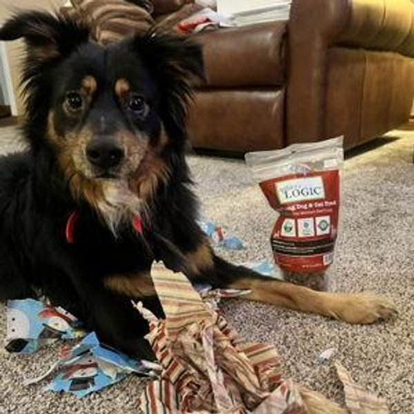 Year's Supply Of Pet Treats