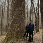 Joyce Kilmer Memorial Forest, Cheoah Ranger District, Nantahala National Forest
