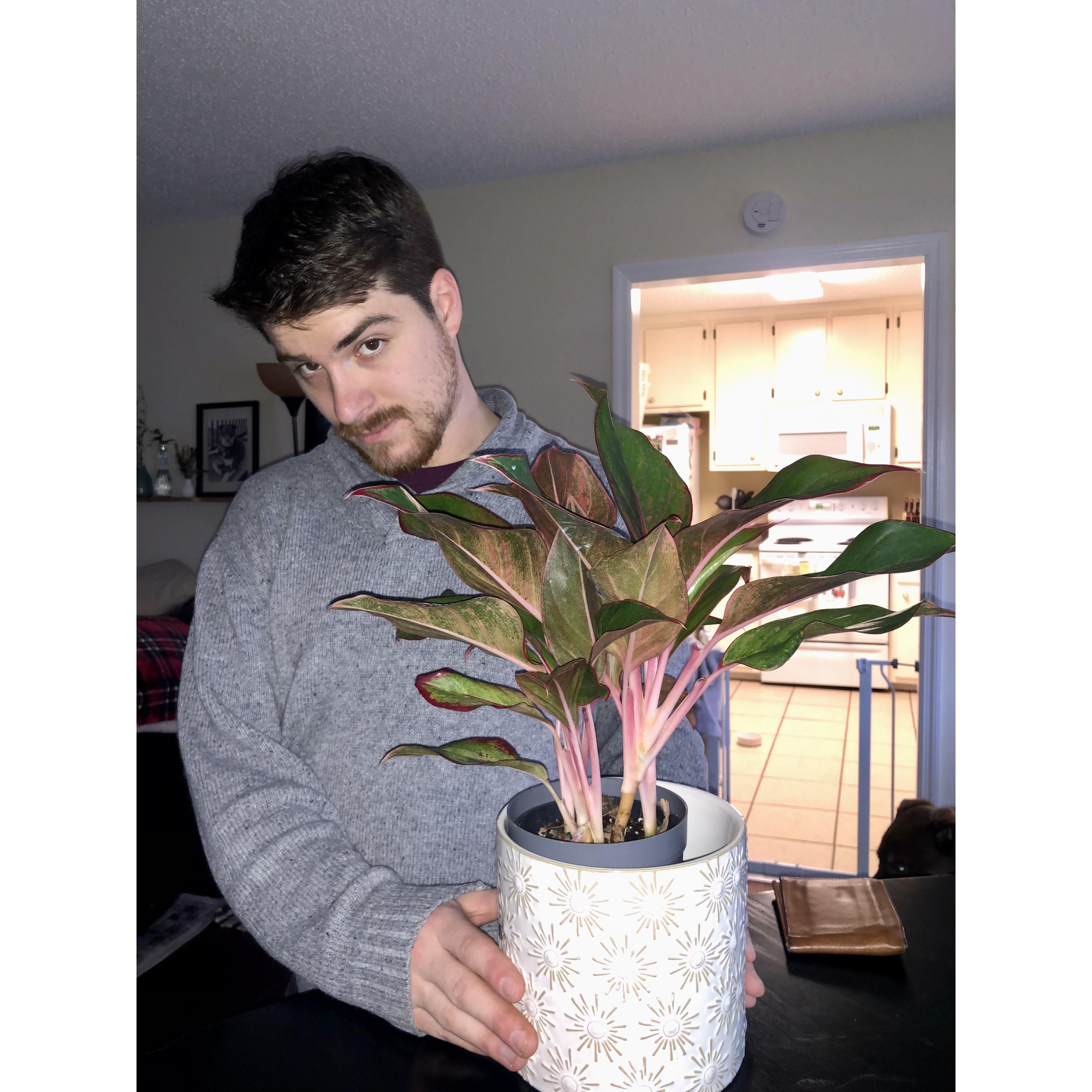 Countless plants gifted to Kailee