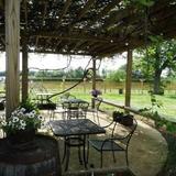 Jules J Berta Vineyards