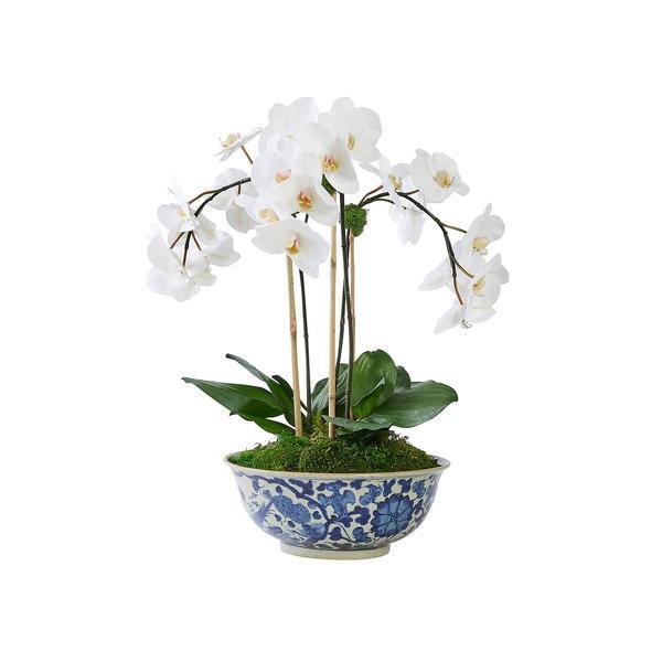 Triple White Orchid in Traditional Floral Bowl