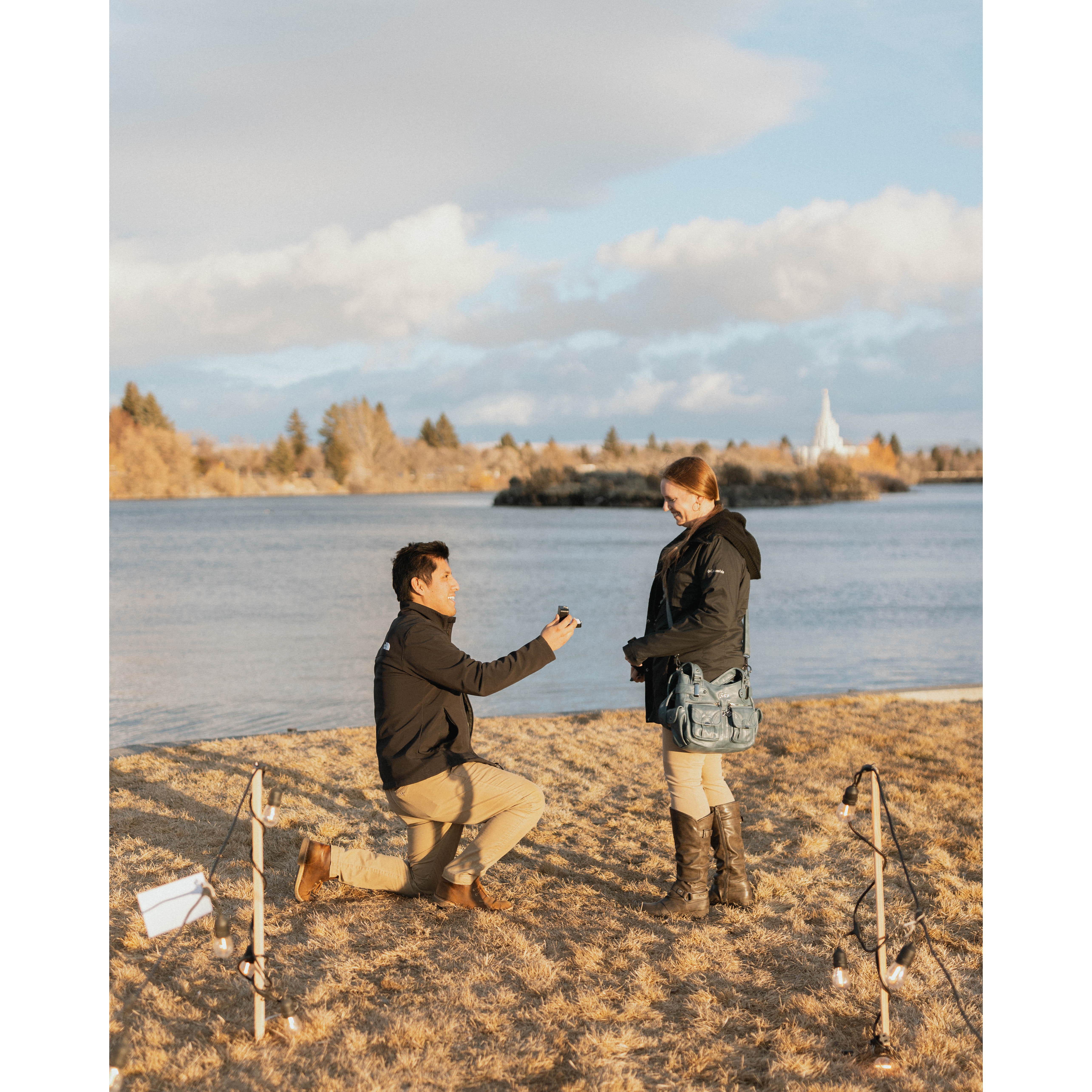 Proposal day!