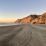Torrey Pines State Reserve