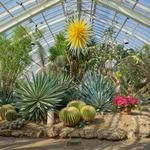 Phipps Conservatory and Botanical Gardens