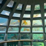 Seattle Aquarium