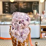 Jeni's Splendid Ice Creams
