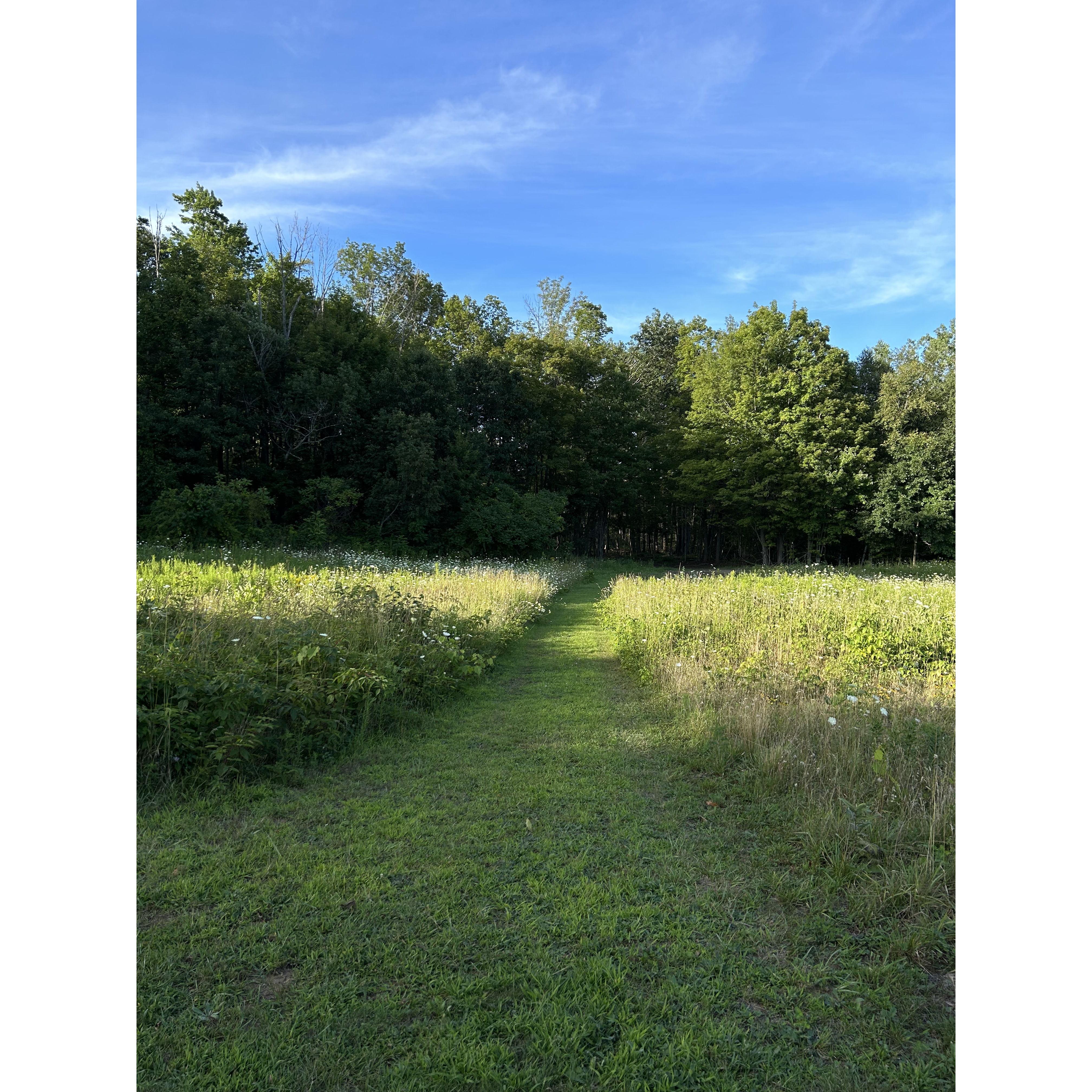 The back field. We love strolling through this field at all times of day, and it is the future home of our reception!