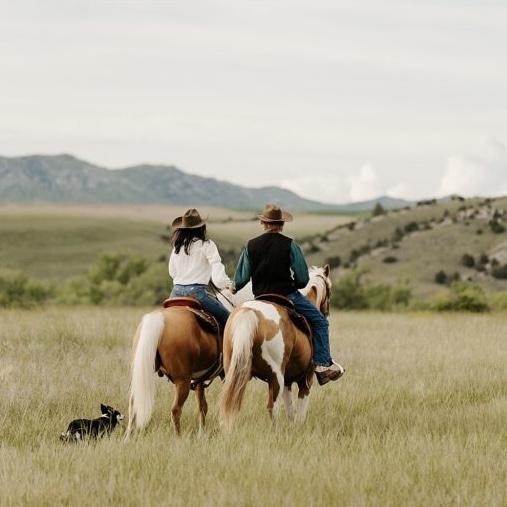 Horseback Riding On Our Honeymoon