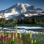 Mount Rainier National Park