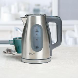 Capresso H20 Select Programmable Water Kettle