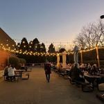 Lost Worlds Brewing Company