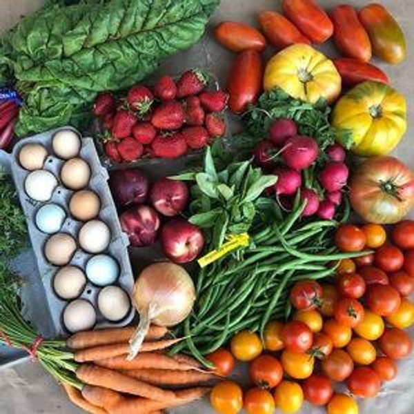 2 months our Full Table CSA