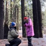 Calaveras Big Trees State Park