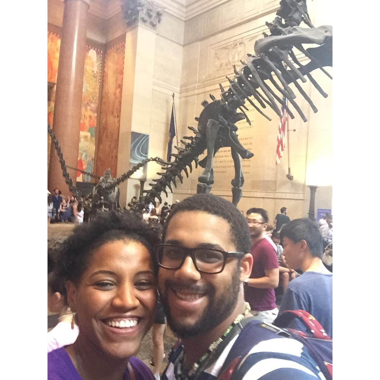 Dinosaurs at the Natural History Museum in NYC!