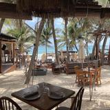Taboo | Best Beach Club Tulum