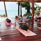 Yoga retreats experience