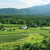 Veritas Vineyards & Winery