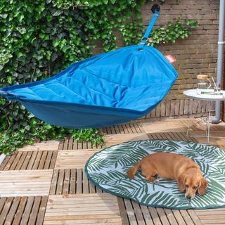 Headdepleck Hammock