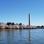 Washington