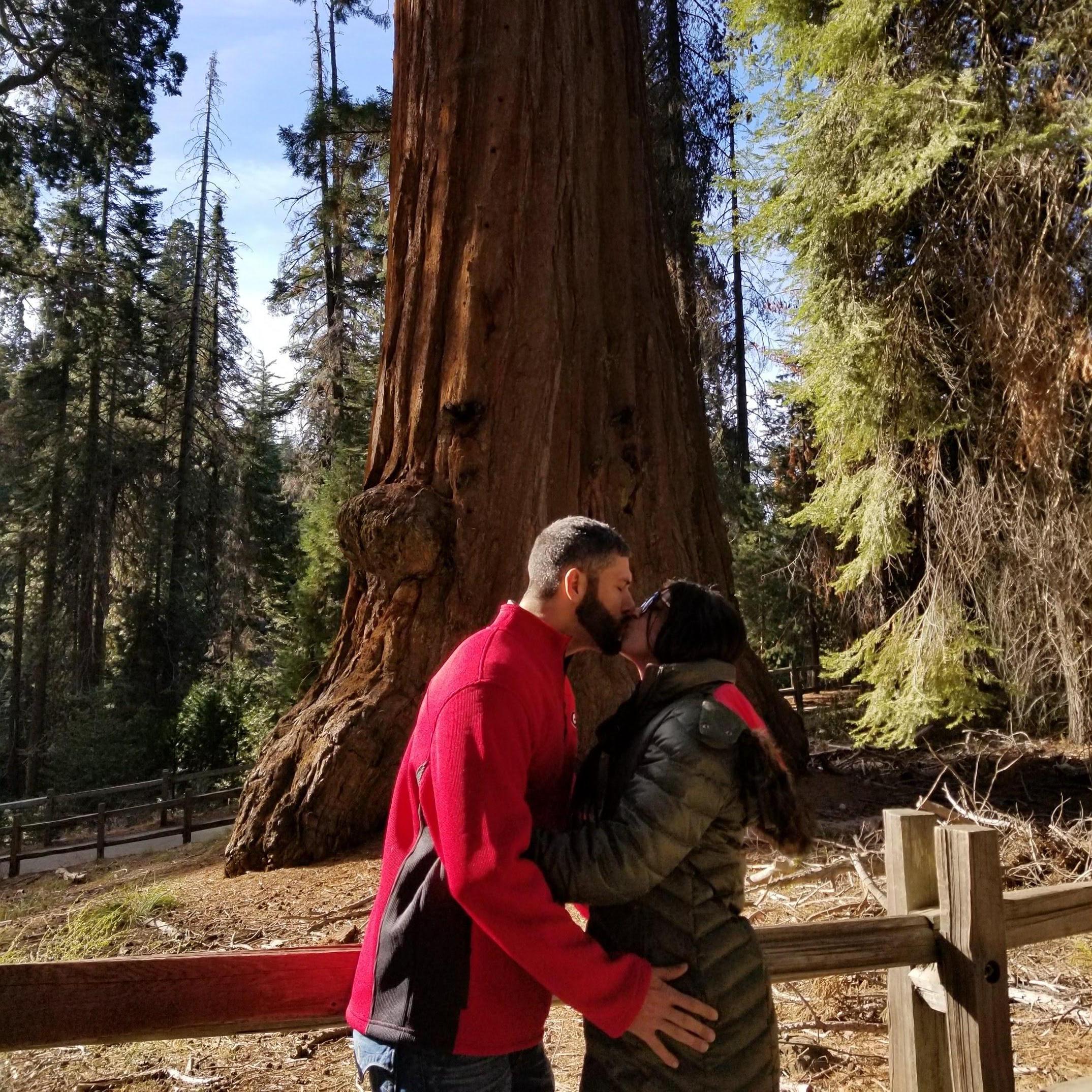 Sequoia National Park. In the Sierra Nevada Mountains in California.