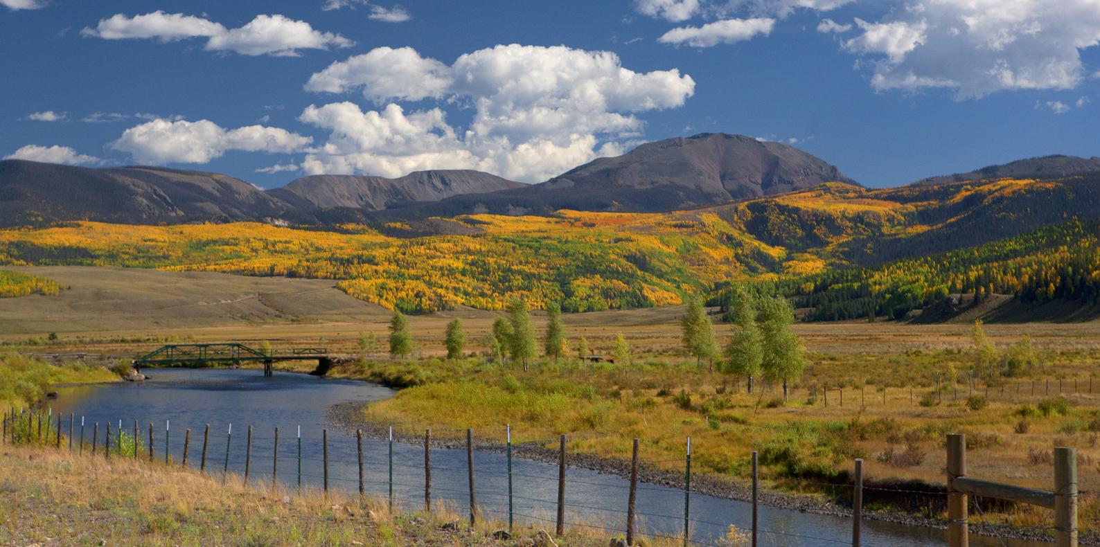 The Wedding Website of Troy Bell and Mallory Cohn