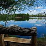 Schmeeckle Reserve