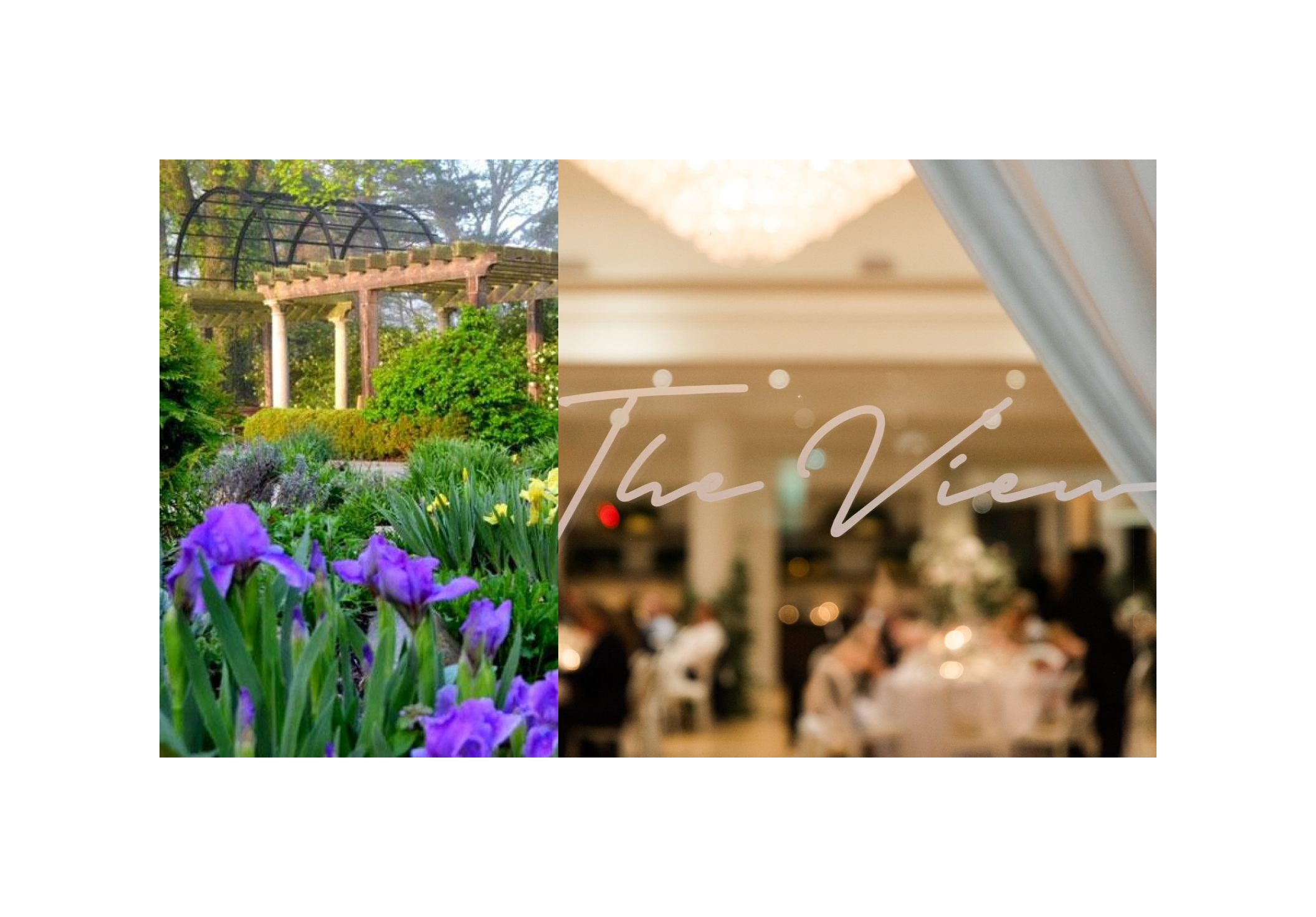 The Wedding Website of Megan Ries and Davis White