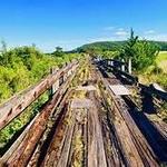 Caumsett State Historic Park Preserve