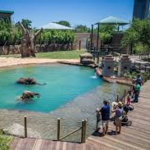 Houston Zoo