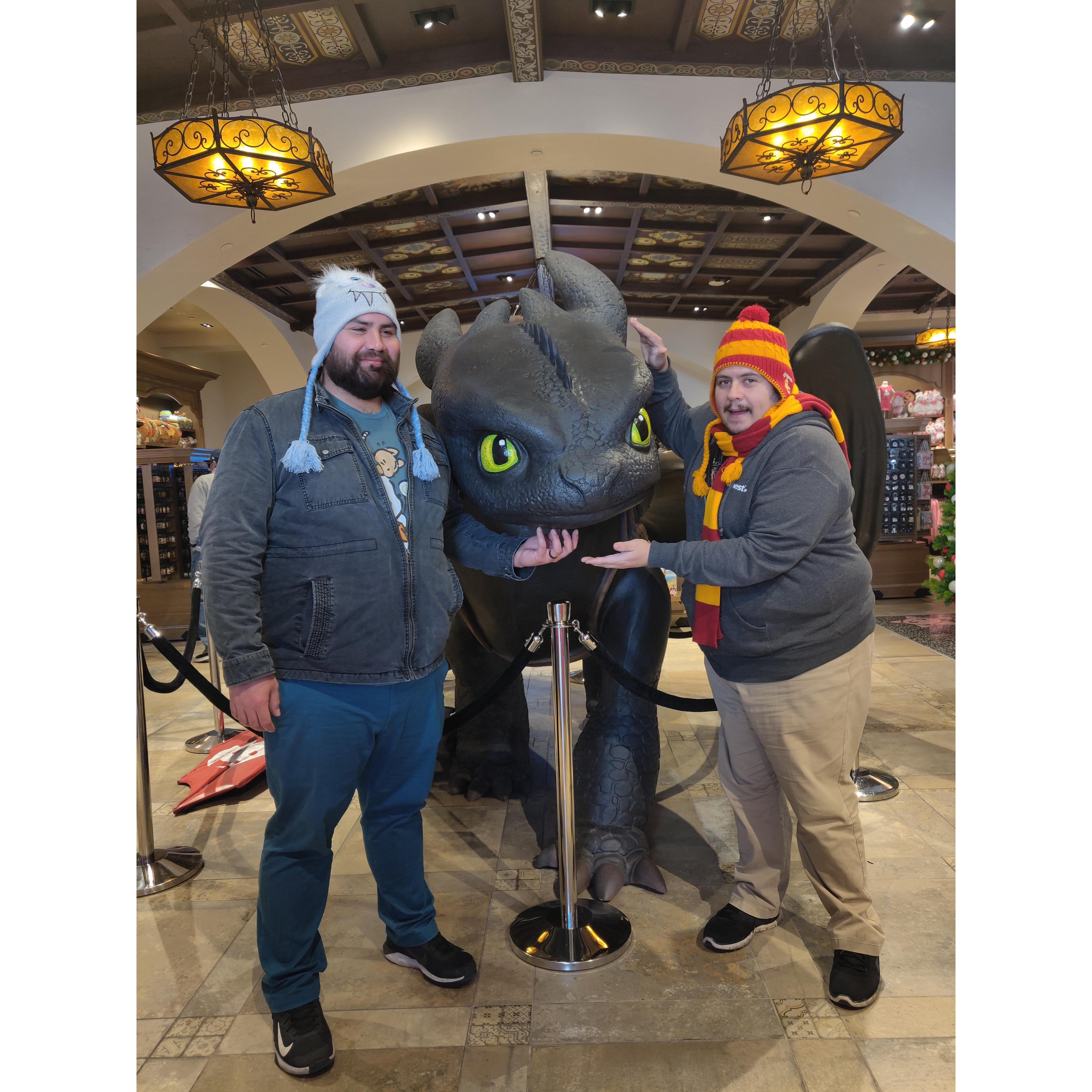 Petting dragons