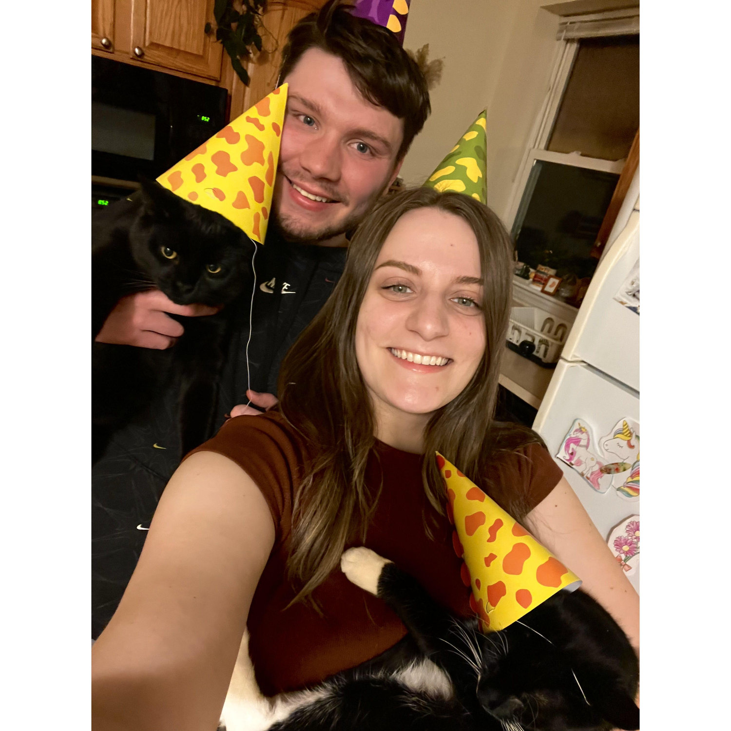Our cats didn't want to celebrate my birthday