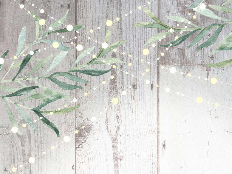 The Wedding Website of Shauna Casey and Lyle Milliman