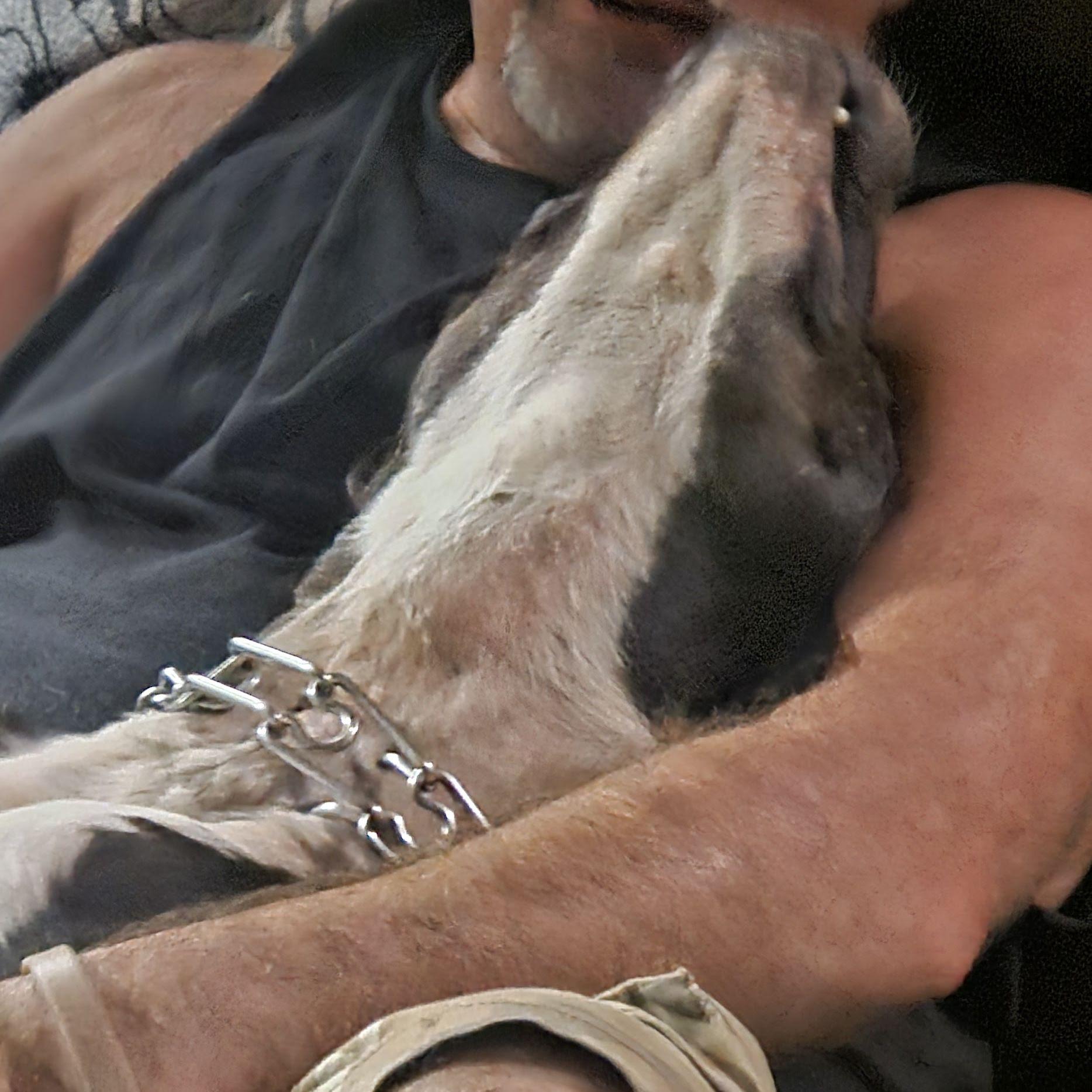 August 4th - Larry & Oreo - they're first bonding experience (I think Larry passed the test)!