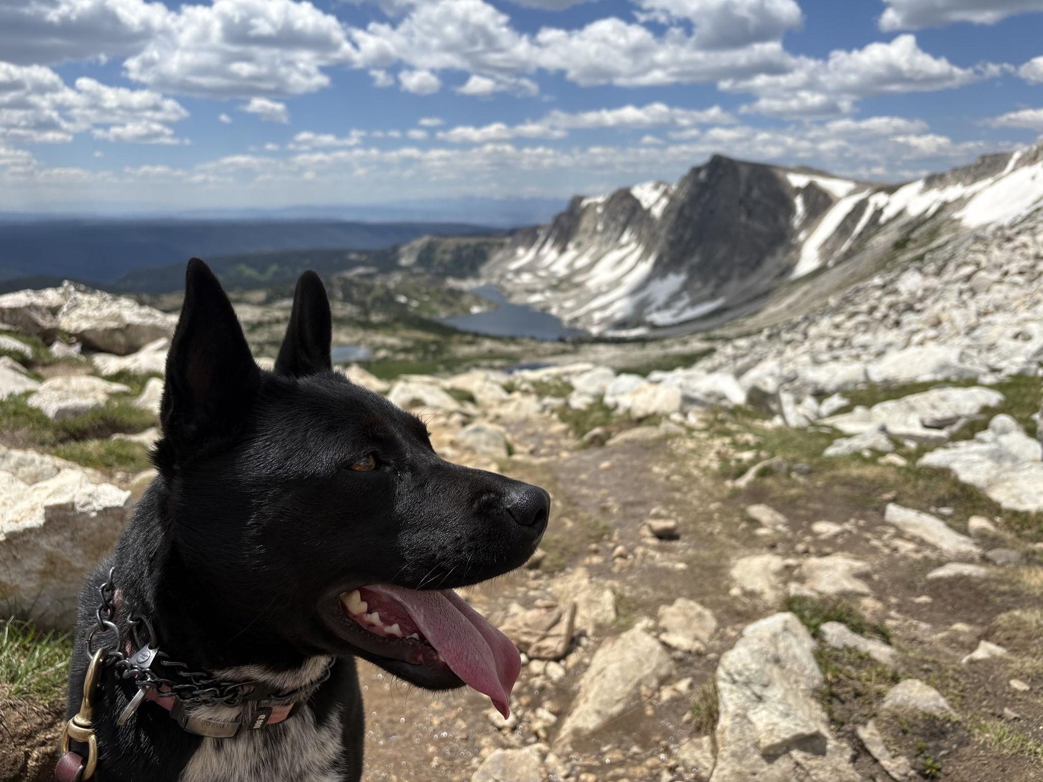 The Wedding Website of Corinne Bintz and Travis Aerenson