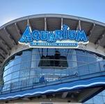 Downtown Aquarium