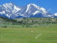 Crazy Mountains