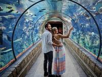 Shark Reef Aquarium at Mandalay Bay