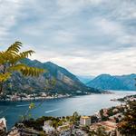 Kotor