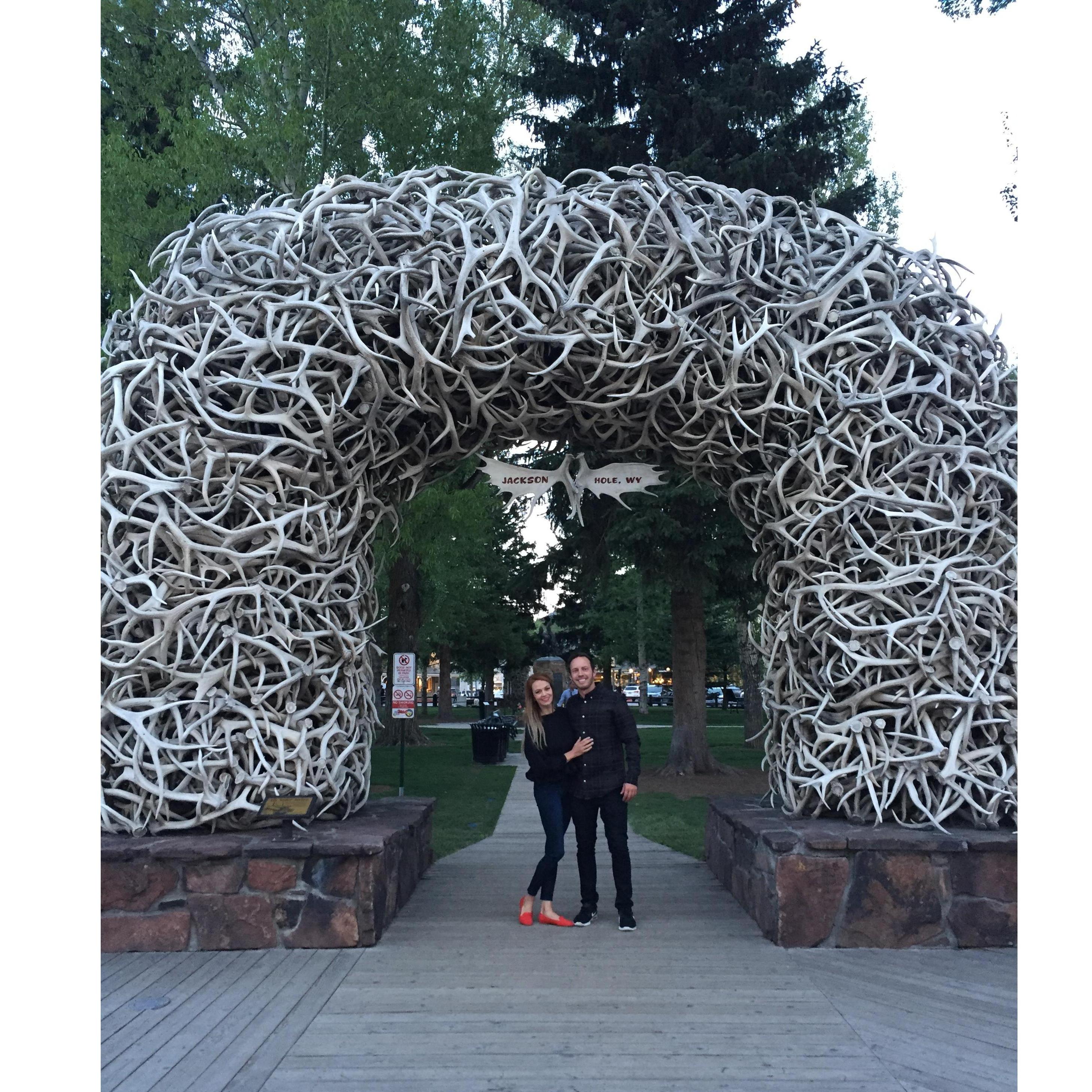 Jackson Hole Trip